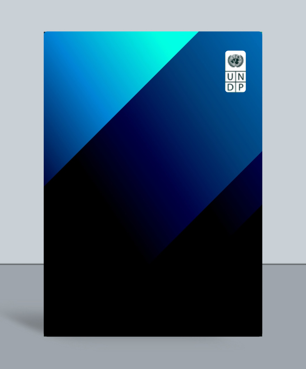 The UNDP Digital Standards handbook cover